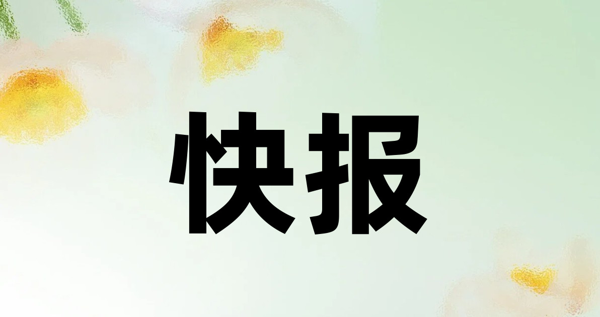 快报