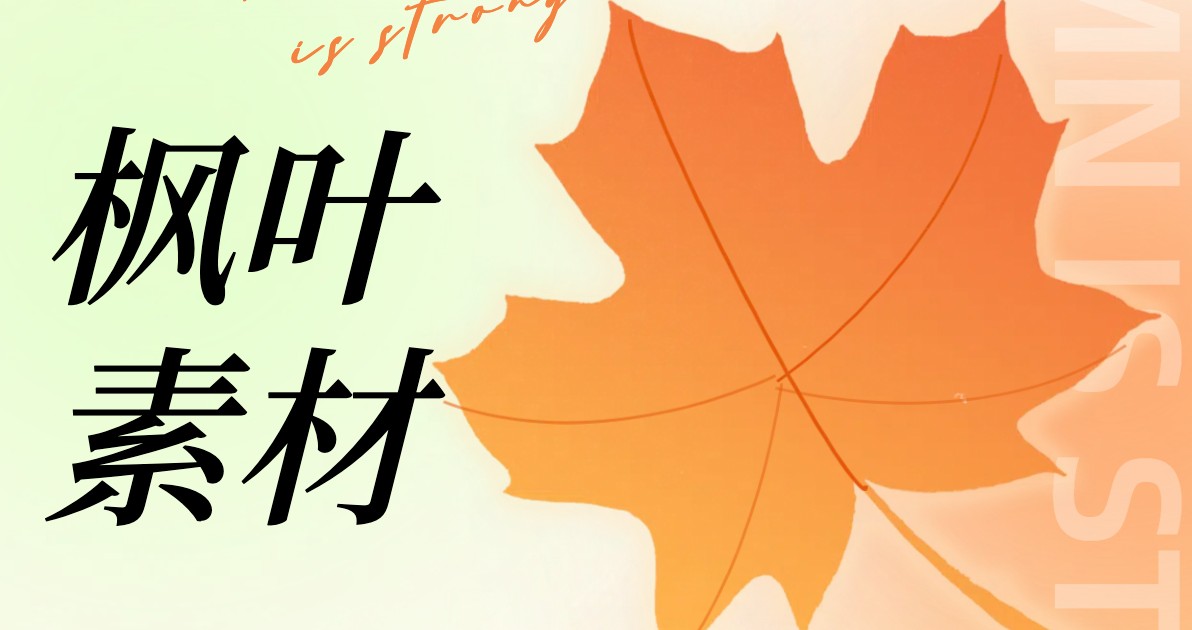 枫叶素材
