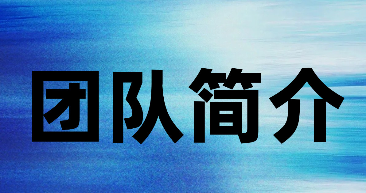团队简介