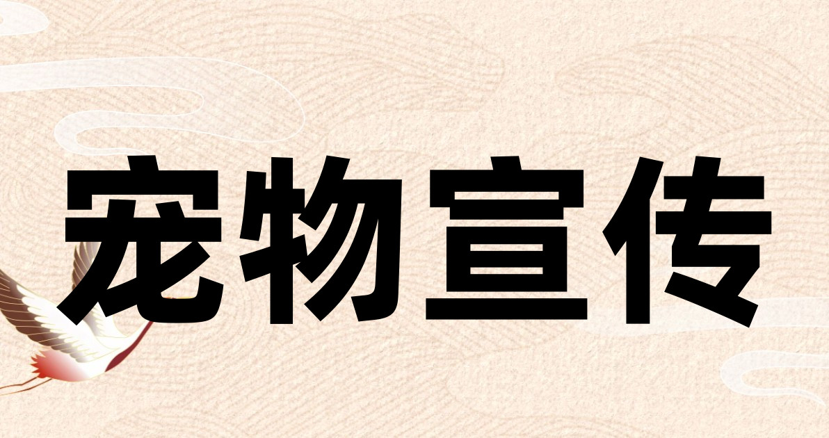 宠物宣传