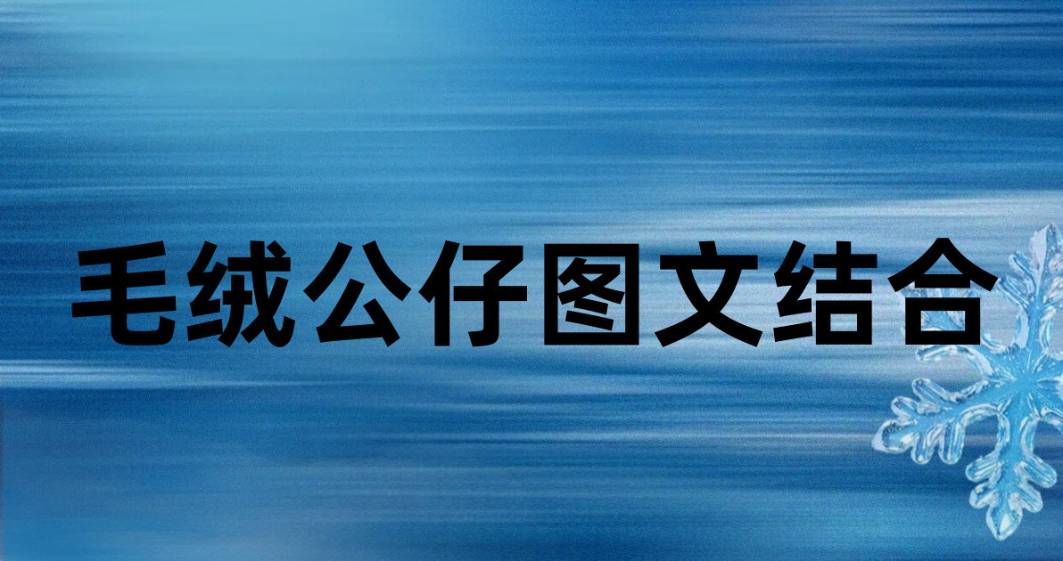 毛绒公仔图文结合