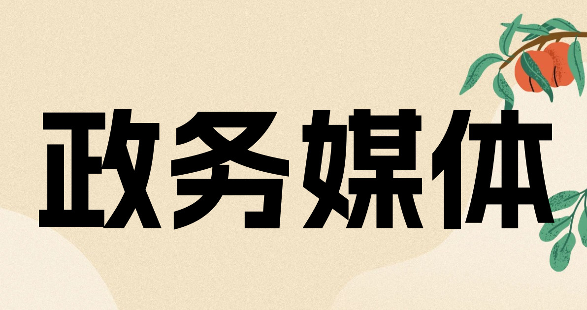 政务媒体
