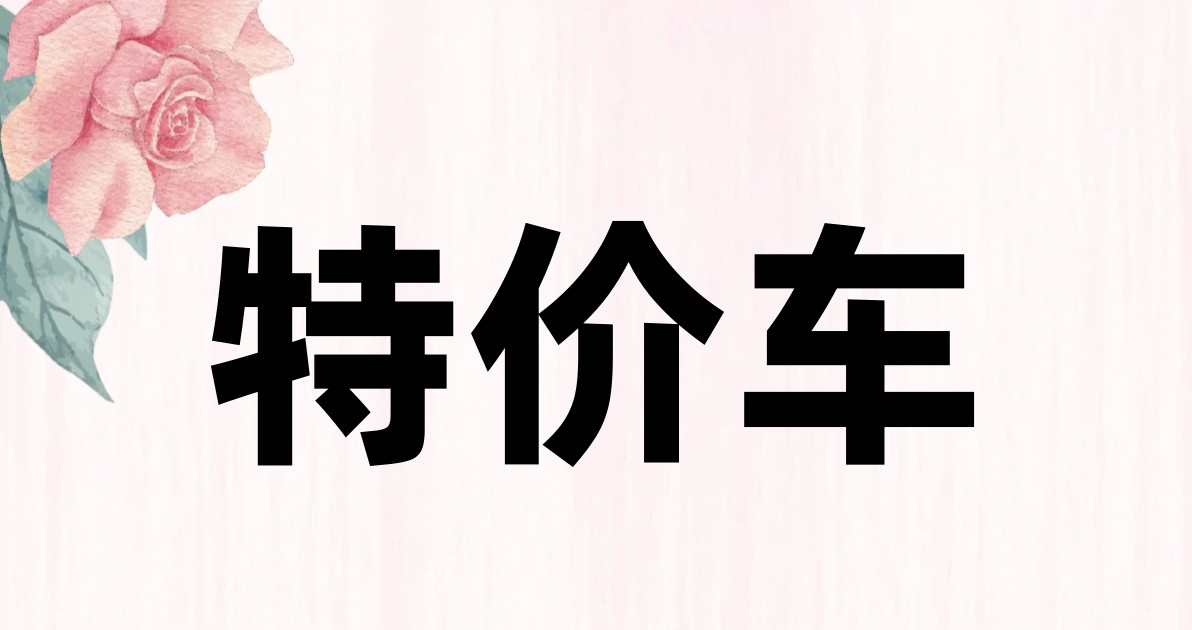 特价车