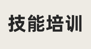 如何规划一次有效的技能培训，让团队成员快速上手新工具