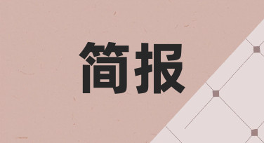 如何制作一份清晰高效的简报，从思路到呈现的完整指南