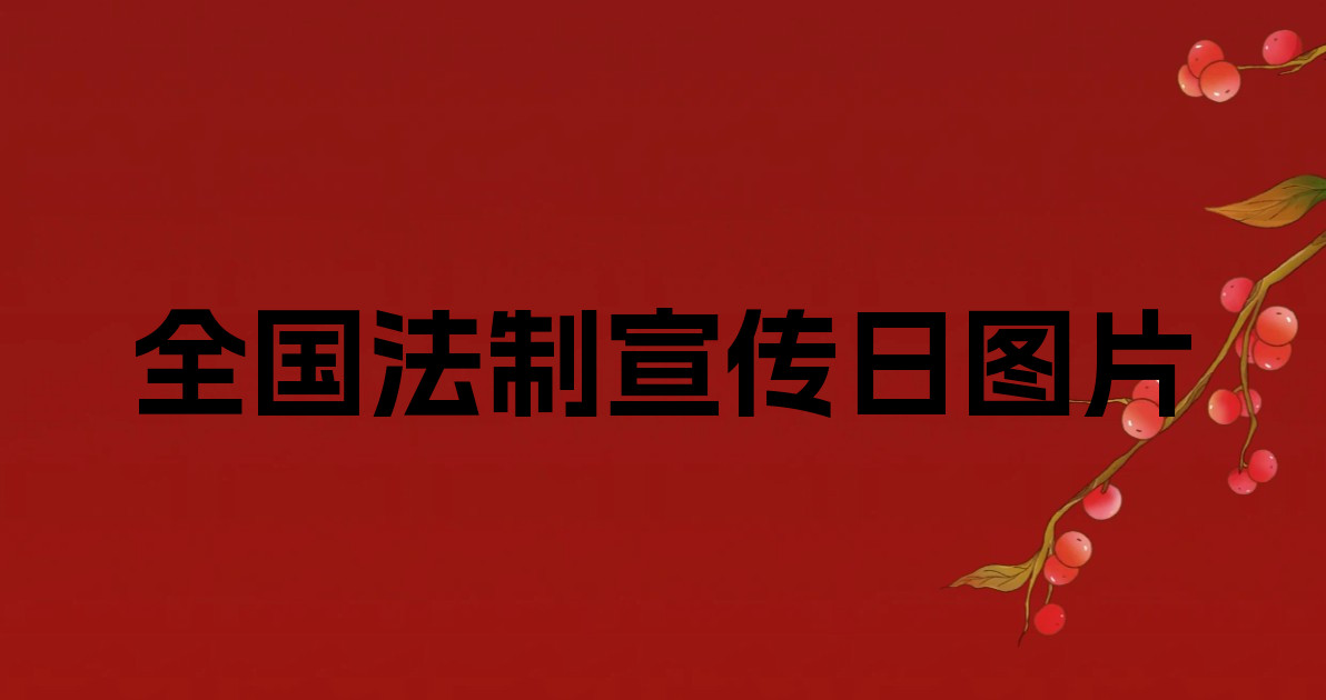 全国法制宣传日图片