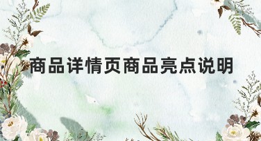 商品详情页商品亮点说明