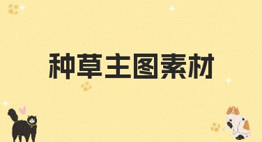 种草主图素材：让你的作图轻松愉快