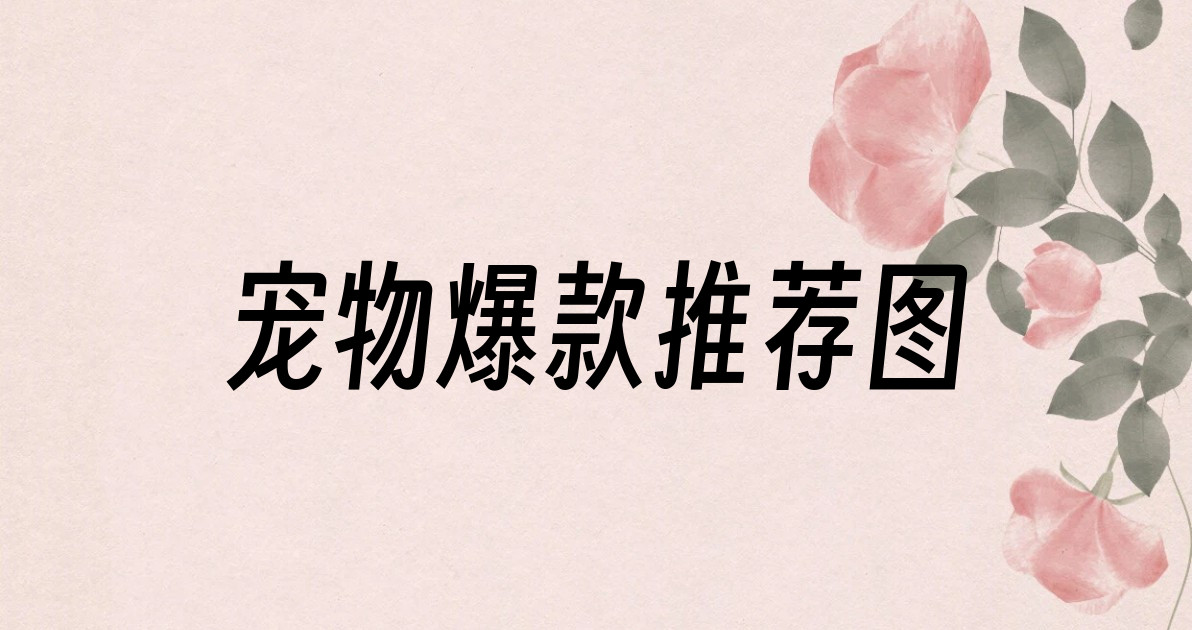 宠物爆款推荐图