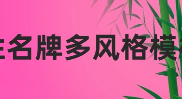 姓名牌多风格模板，助你轻松制作个性化设计