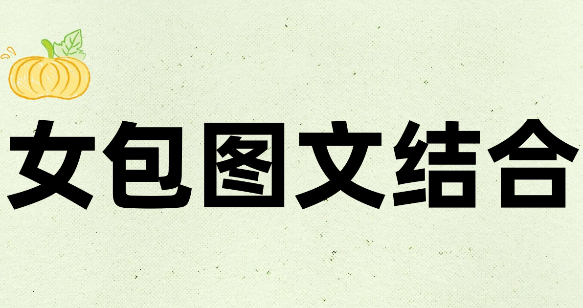 女包图文结合