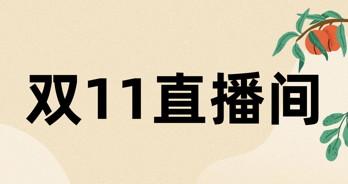 双11直播间