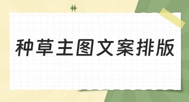 种草主图文案排版：为你解锁更高效的作图
