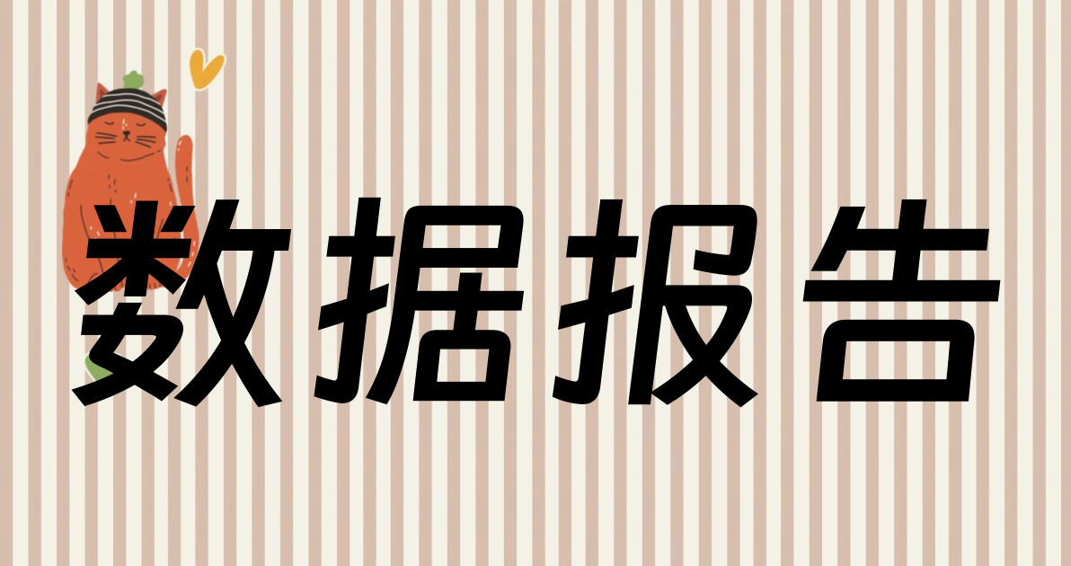 数据报告