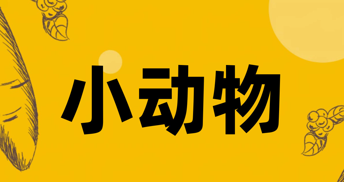 小动物