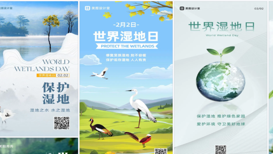 世界湿地日海报爆款设计
