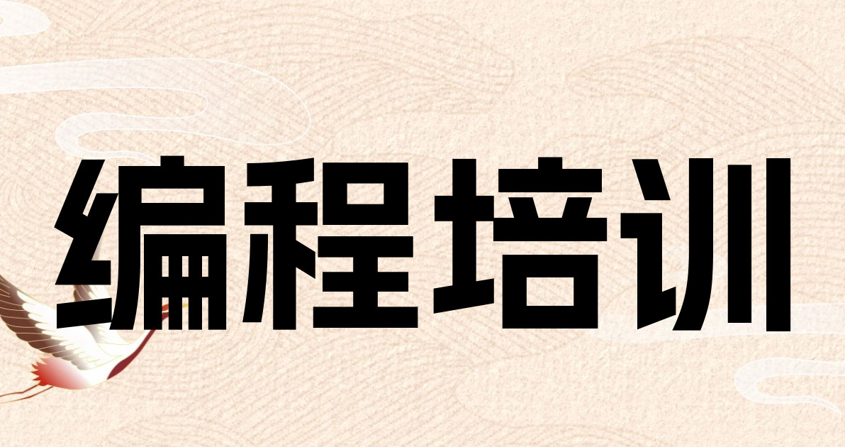 编程培训