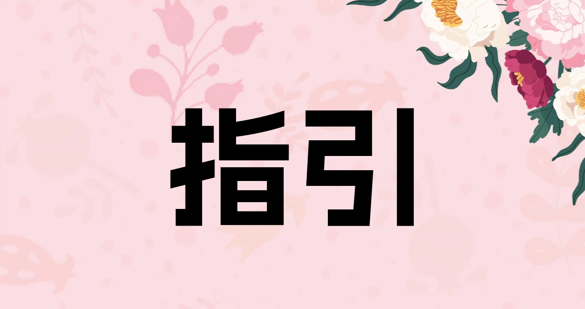 指引