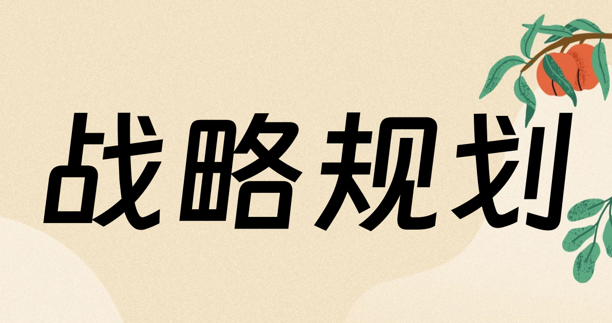 战略规划