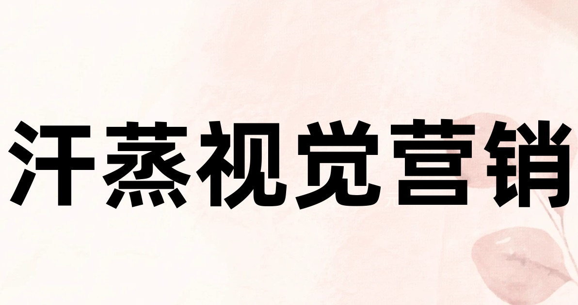 汗蒸视觉营销