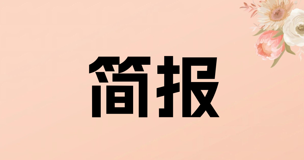 简报