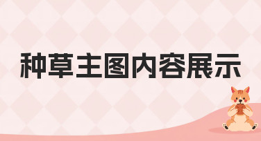 种草主图内容展示怎么做？五种高点击率风格模板一键套用