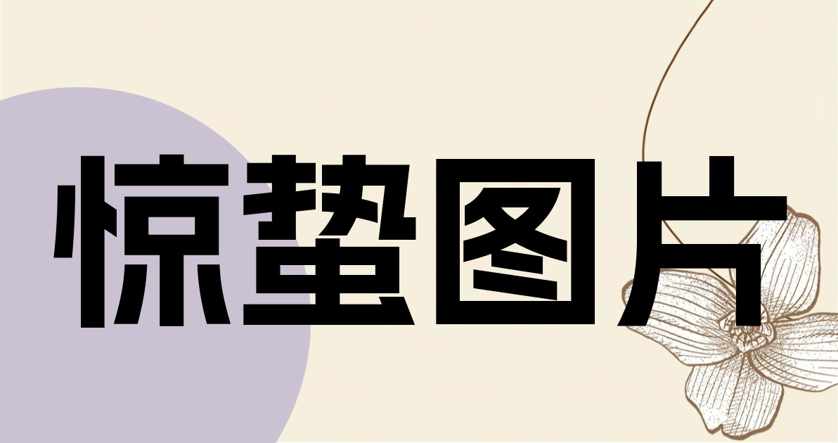 惊蛰图片