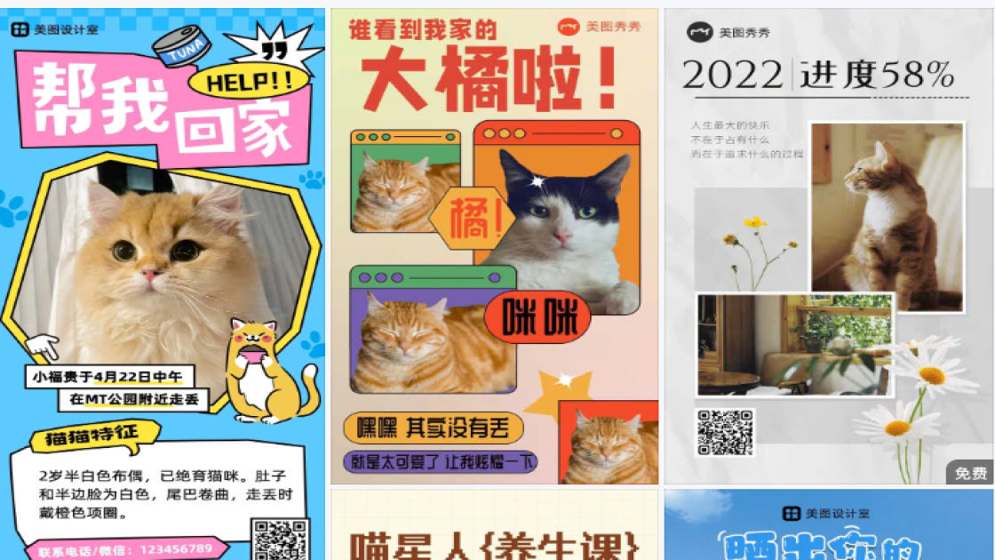 寻猫