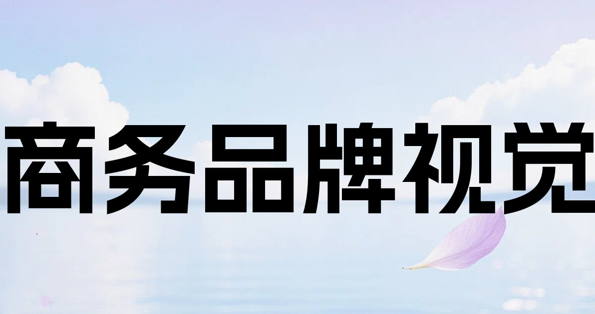 商务品牌视觉