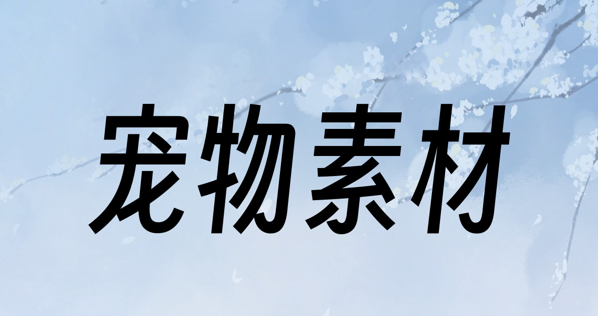 宠物素材