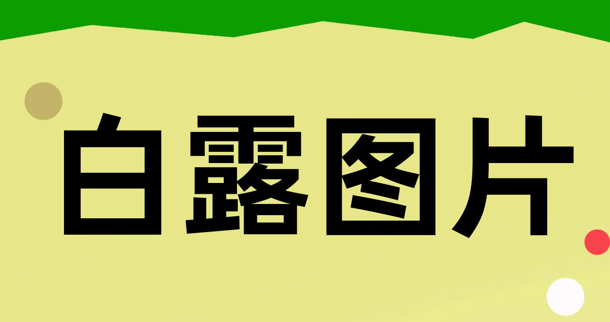 白露图片