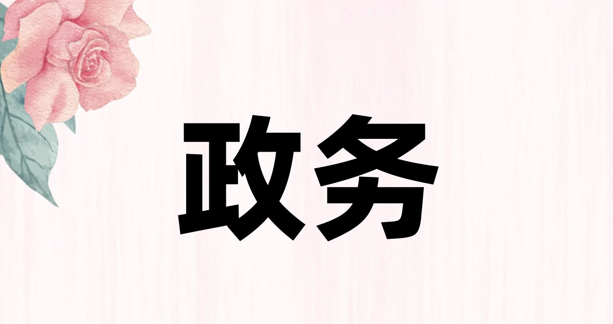 政务