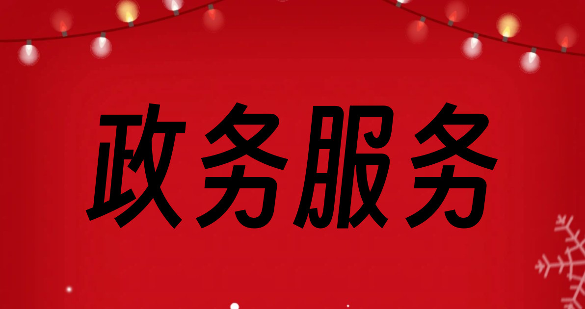 政务服务
