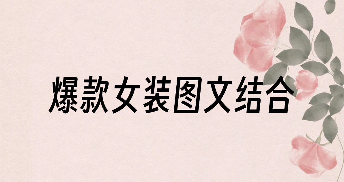 爆款女装图文结合