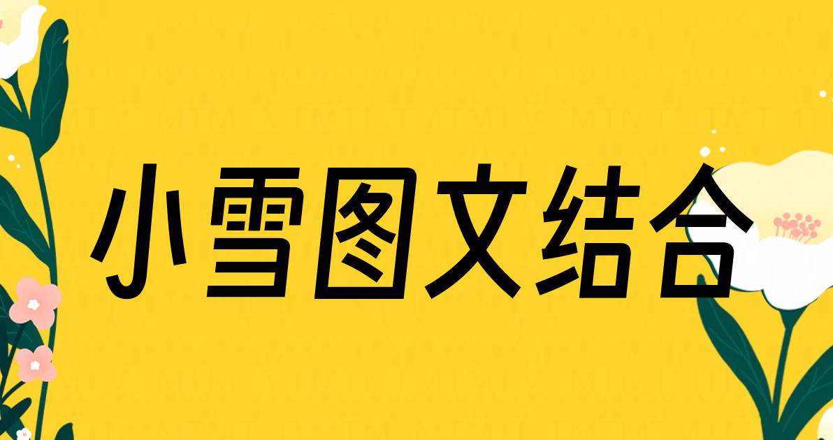 小雪图文结合