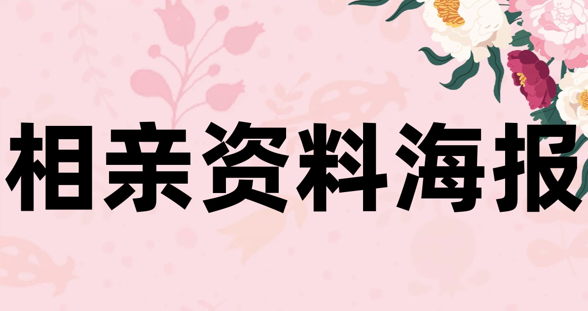 相亲资料海报