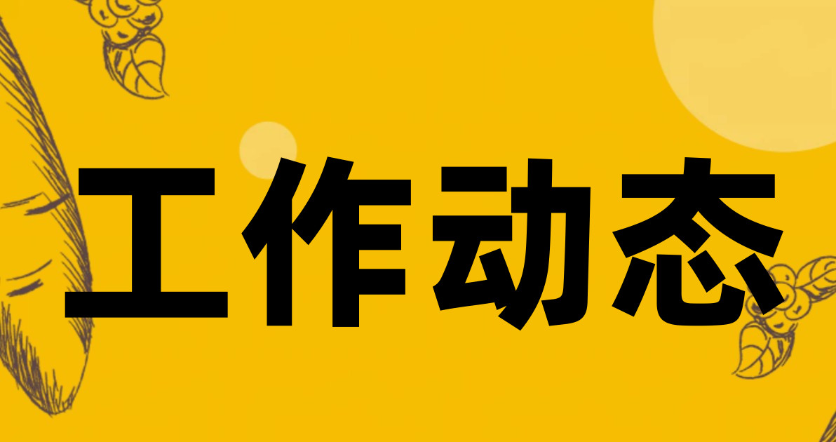 工作动态