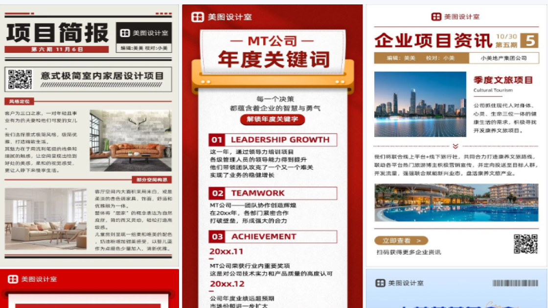 项目简报