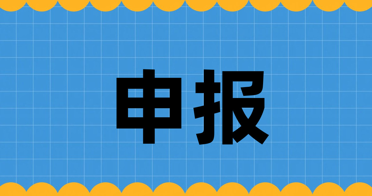 申报