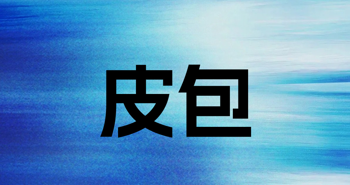 皮包