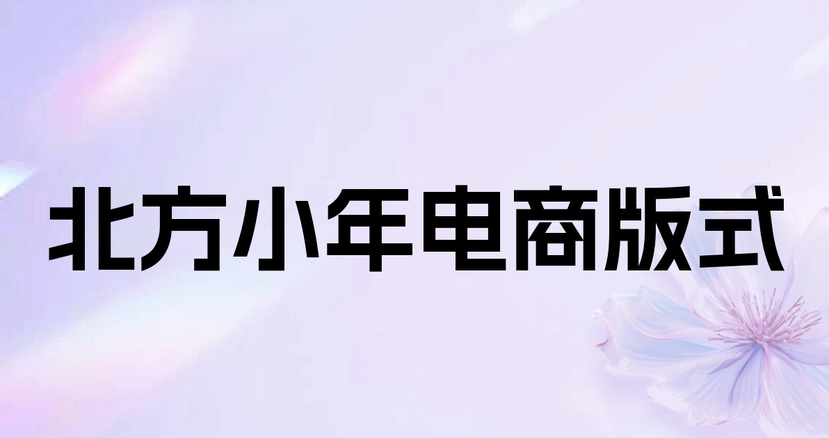 北方小年电商版式