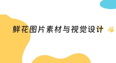 鲜花图片素材与视觉设计，探索设计灵感！
