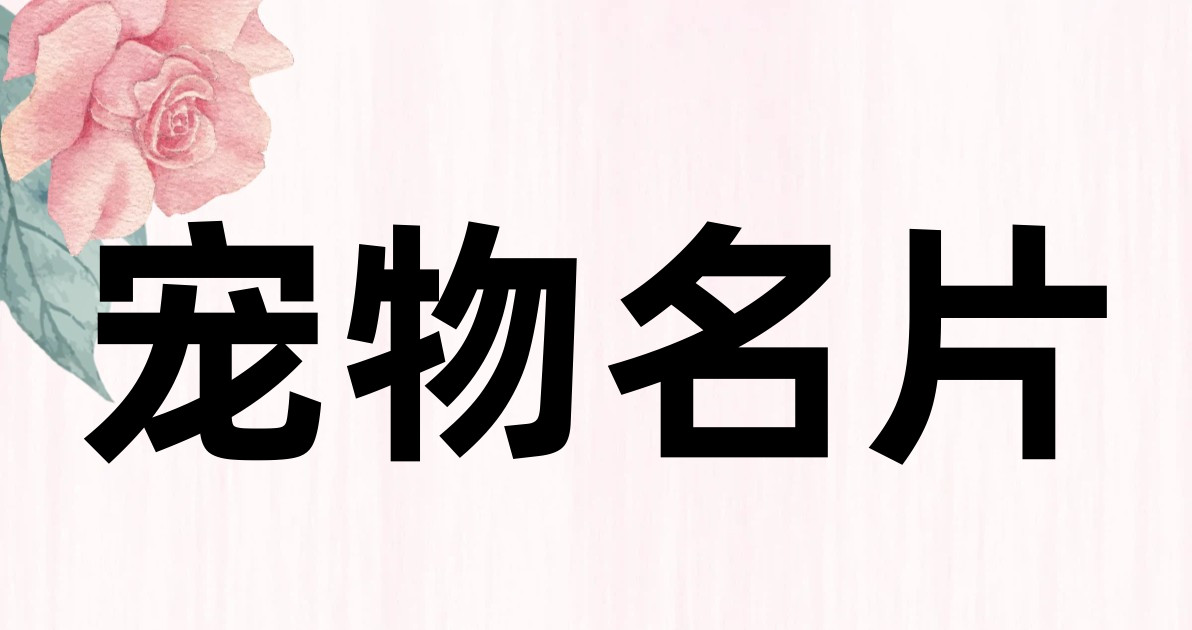 宠物名片