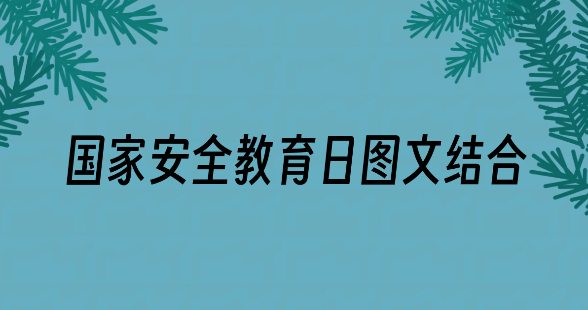 国家安全教育日图文结合