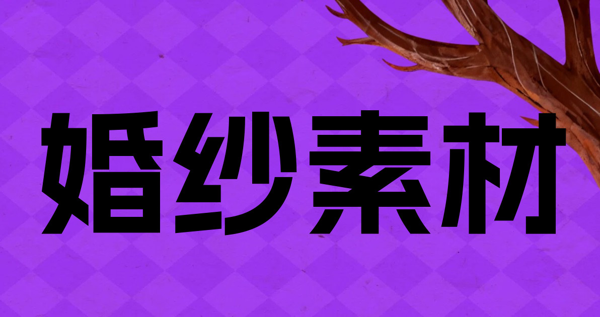 婚纱素材