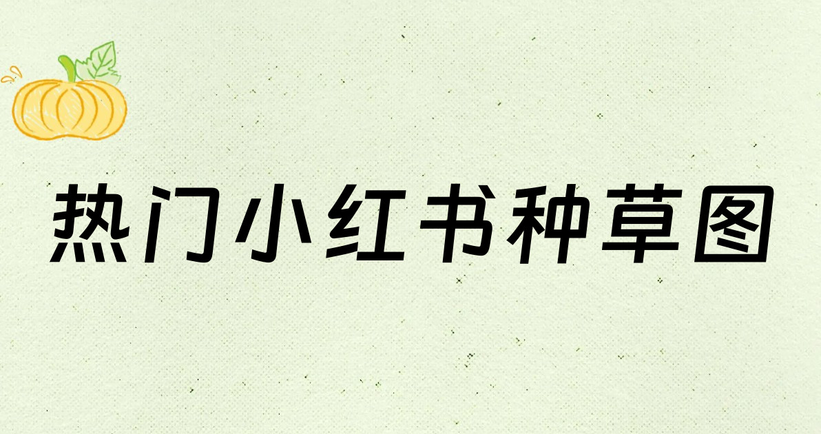热门小红书种草图