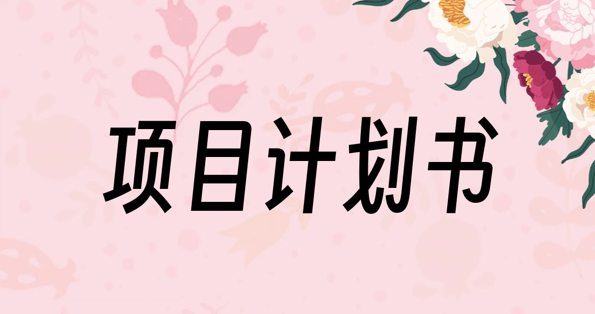项目计划书