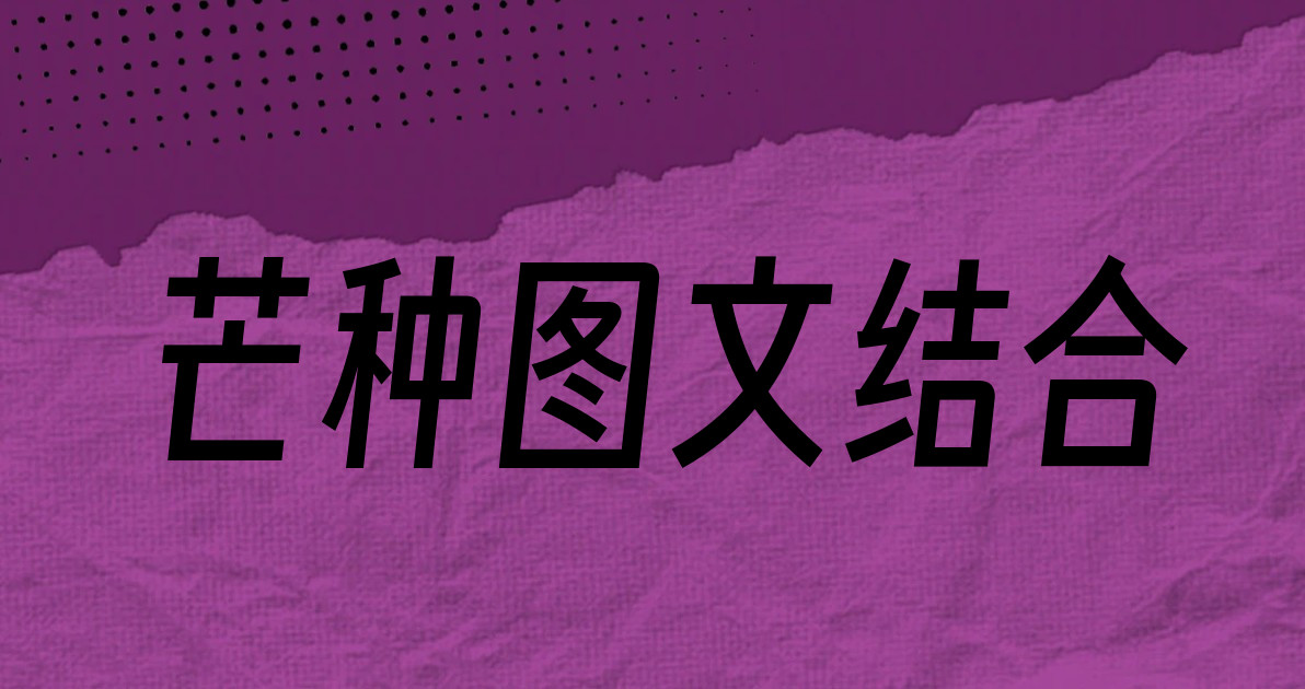 芒种图文结合