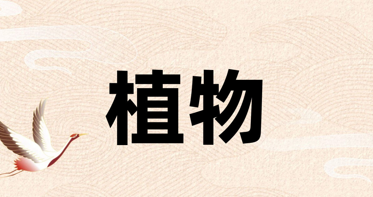 植物