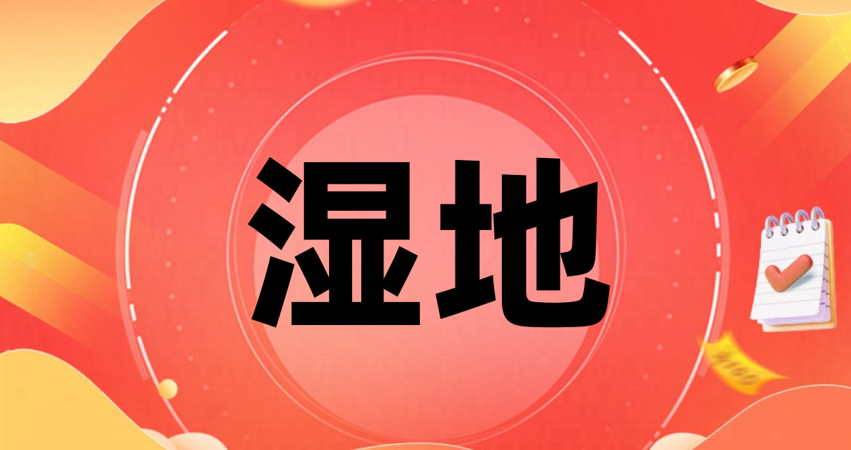 湿地